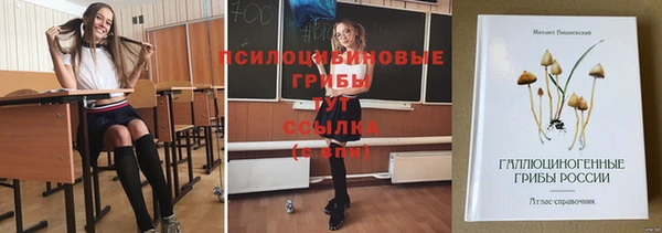 гашик Балабаново