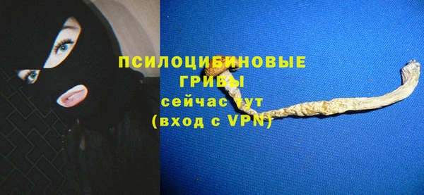 гашик Балабаново