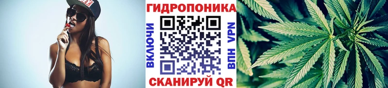 Бошки Шишки план Георгиевск